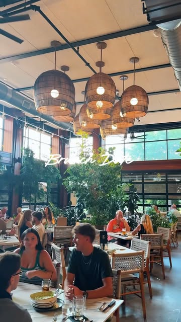 A bright, plant-filled dining destination